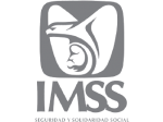 Logo_IMSS_350x250px-156x112